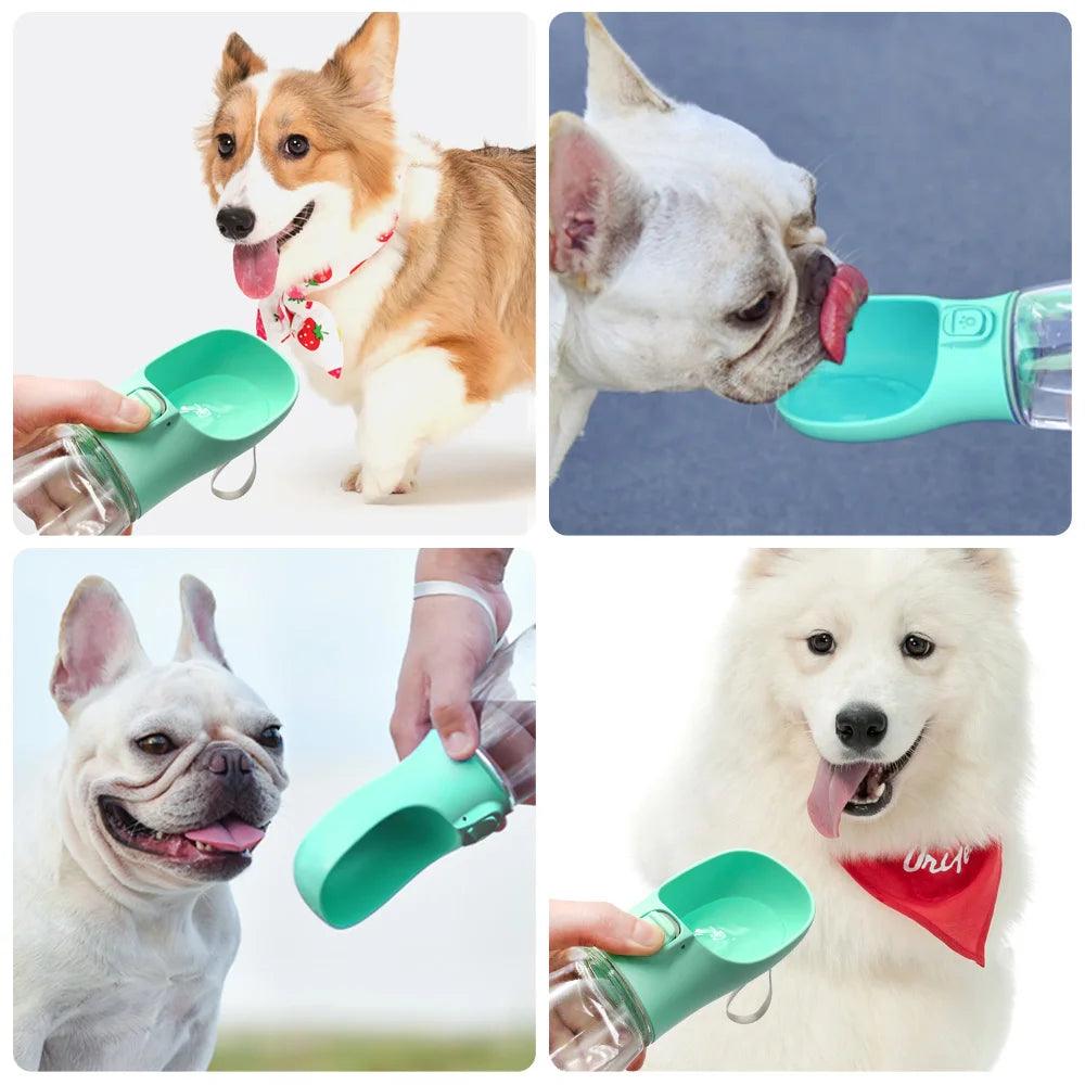 Gourde pour Chien portable - Sniff & Snuggle